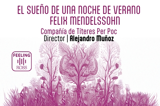 NOCHEVERANO_IMAGEN_FICHA