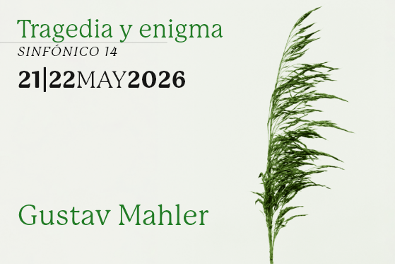 14_CGS_IMAGEN_FICHA
